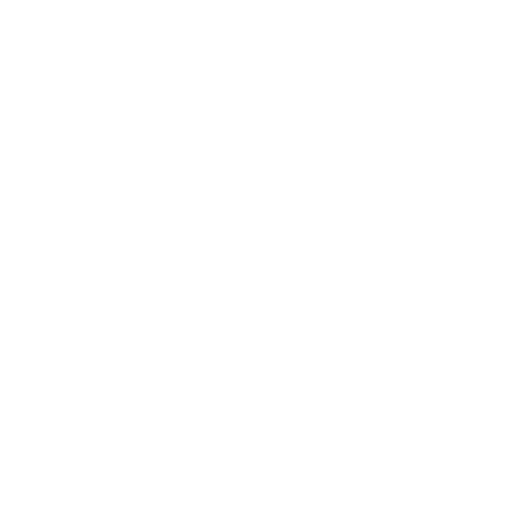 Zizo Motion Pictures Logo
